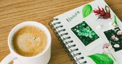 uems-seleciona-tutores-de-pos-graduacao-em-gestao-da-escola-publica-de-ensino-medio