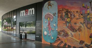 museu-de-arte-moderna-de-sao-paulo-seleciona-supervisor-de-relacionamento-com-enfase-na-frente-de-cursos