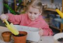embrapa-abre-inscricoes-para-curso-gratuito-online-de-gestao-de-hortas-pedagogicas