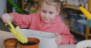 embrapa-abre-inscricoes-para-curso-gratuito-online-de-gestao-de-hortas-pedagogicas